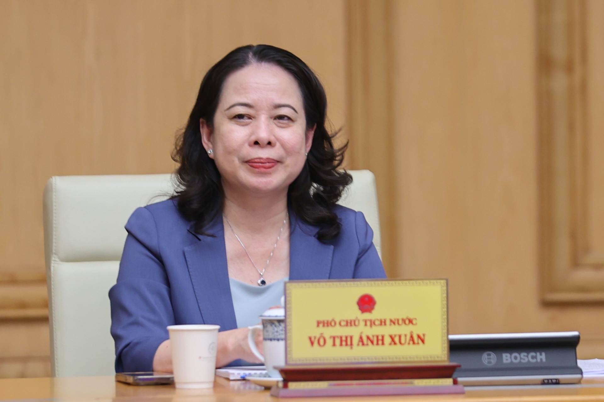 Phó Chủ tịch nước Võ Thị Ánh Xuân phát biểu tại phiên họp - Ảnh: VGP Phó Chủ tịch nước Võ Thị Ánh Xuân phát biểu tại phiên họp - Ảnh: VGP