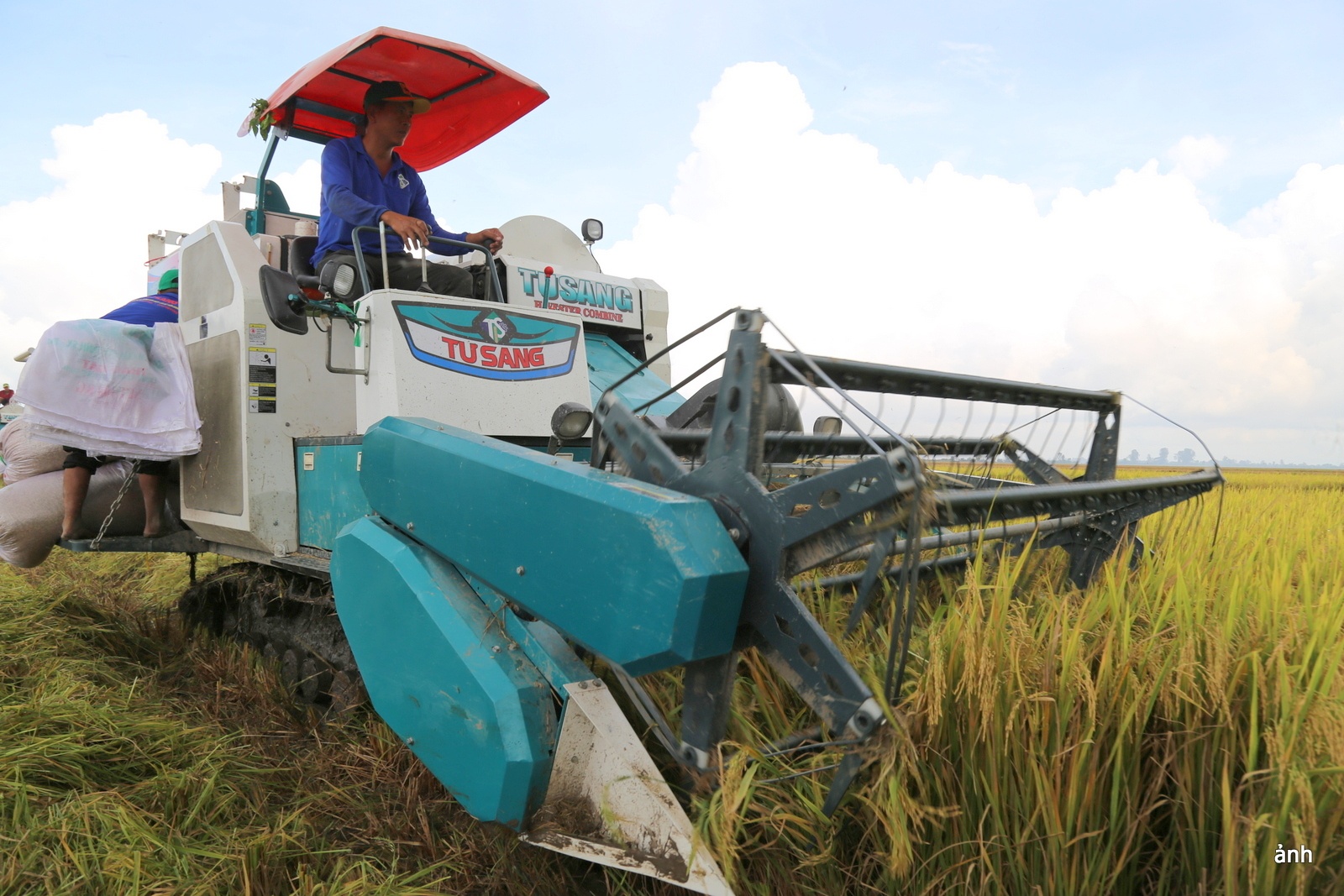 Gạo giảm phát thải góp phần bảo vệ môi trường và nâng tầm vị thế gạo Việt Nam