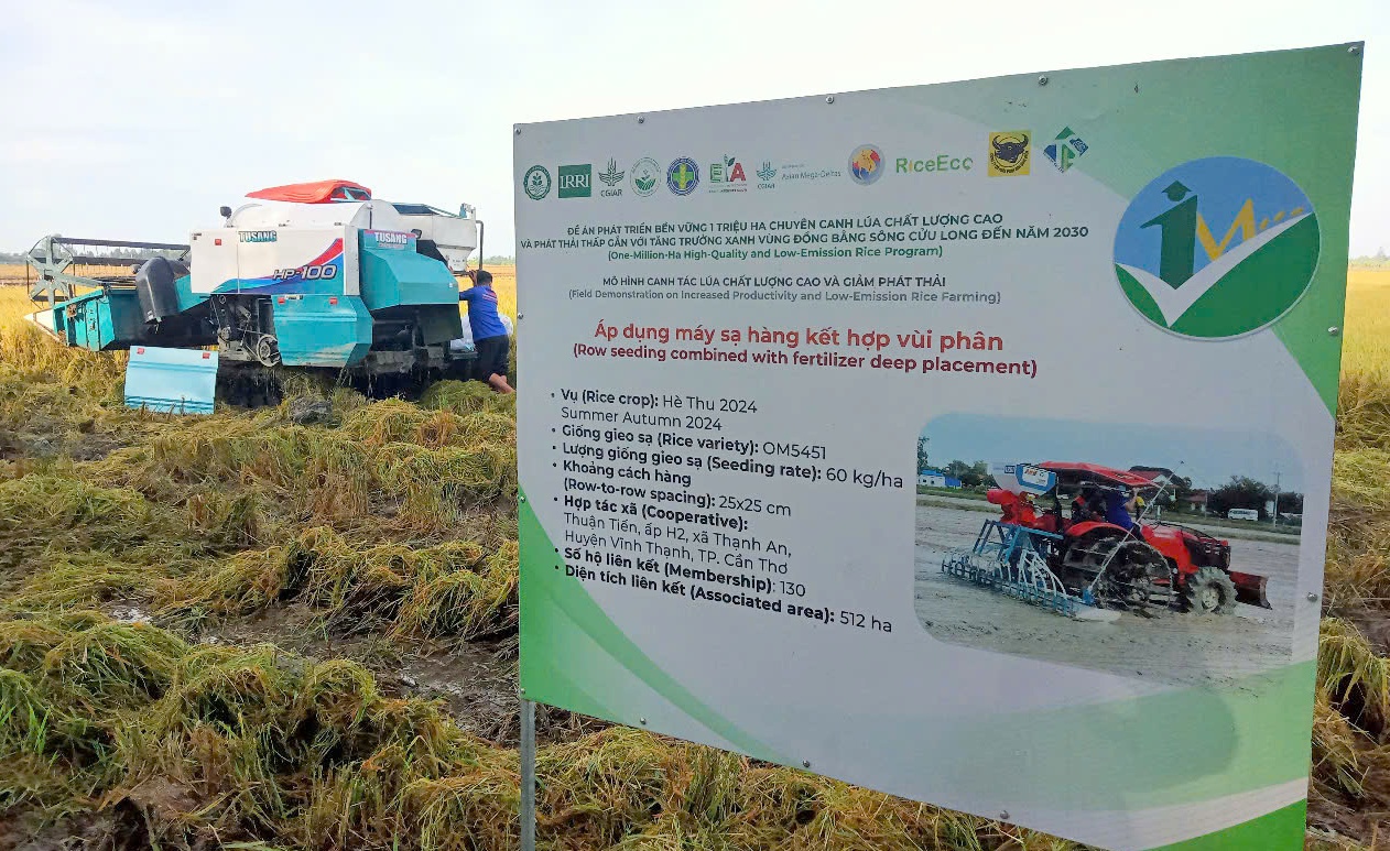 Vựa lúa miền Tây – Kỳ 1: Xây dựng thương hiệu gạo phát thải thấp