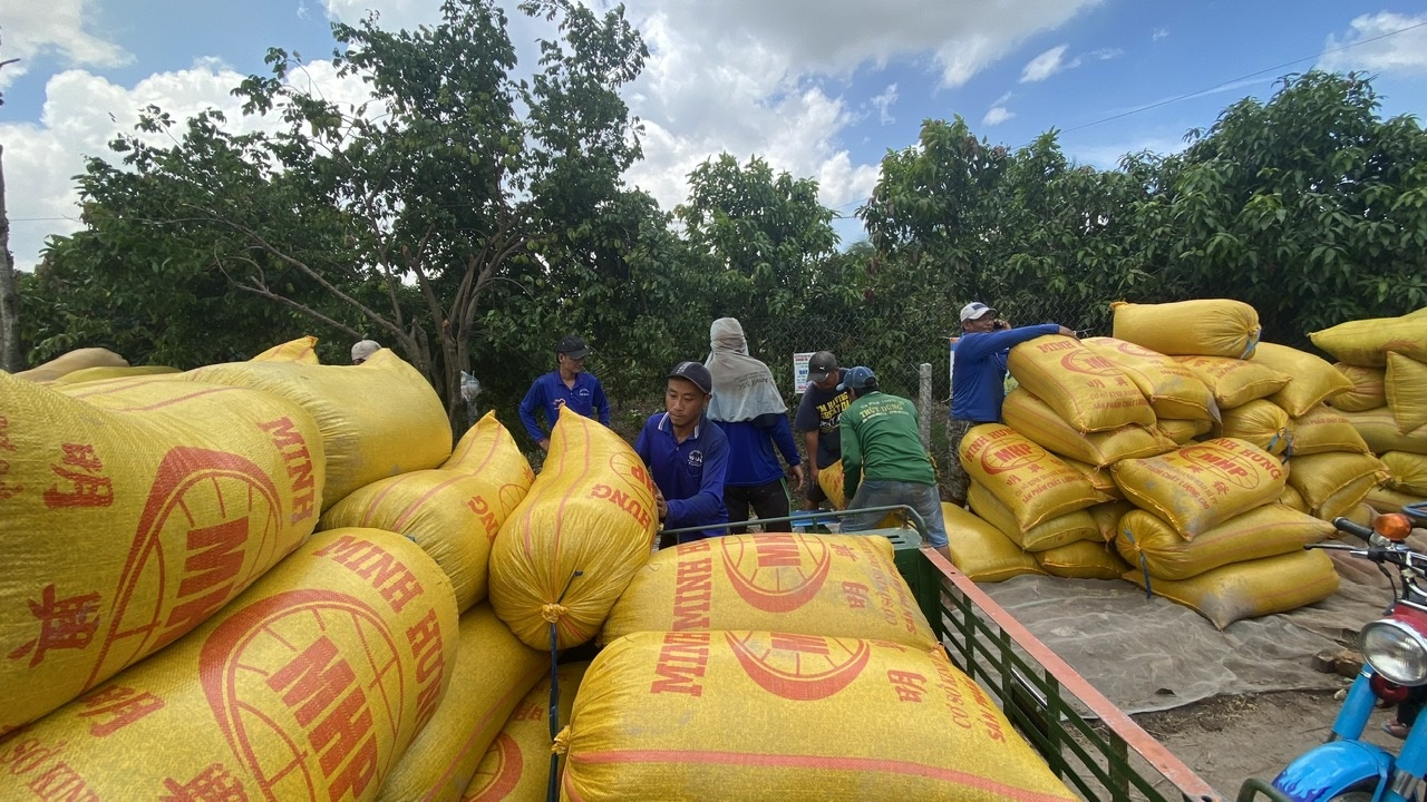 Vựa lúa miền Tây – Kỳ 1: Xây dựng thương hiệu gạo phát thải thấp