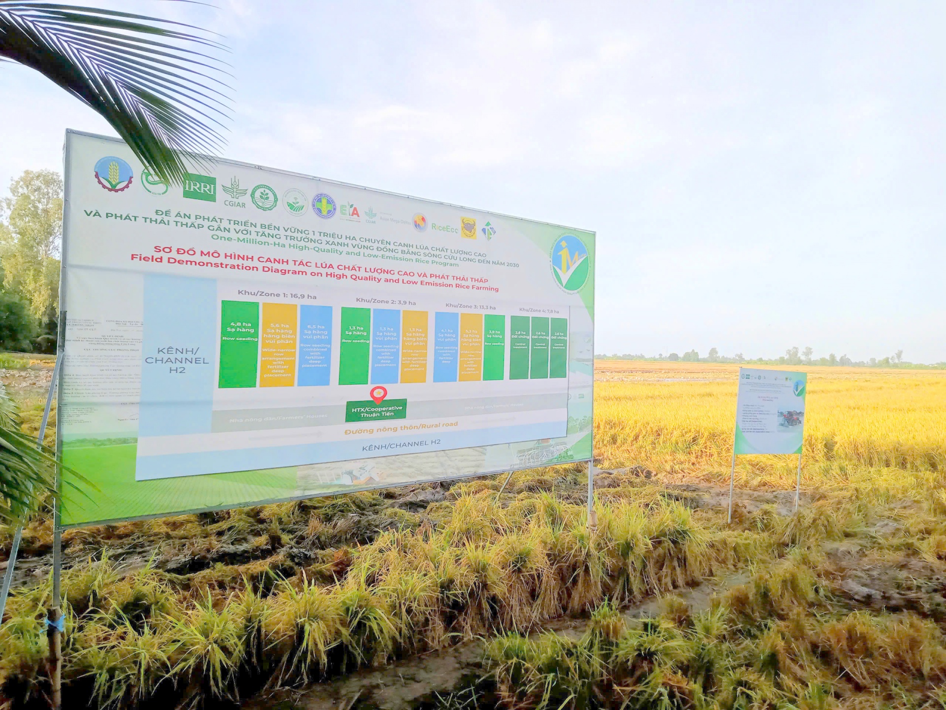 Vựa lúa miền Tây – Kỳ 1: Xây dựng thương hiệu gạo phát thải thấp