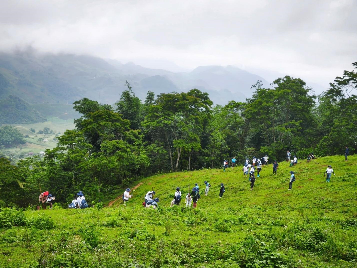 Hơn 200 đại biểu, tình nguyện viên, người dân địa phương tham gia trồng cây sau buổi lễ phát động chiến dịch Rừng Xanh lên 2025 PanNature phối hợp cùng Liên hiệp các Hội Khoa học và Kỹ thật Việt Nam, Hạt kiểm lâm Vân Hồ , Trung tâm Nghiên cứu Sáng kiến Phát triển cộng đồng  và chính quyền địa phương phát động trồng hơn 18.000 cây tại hai xã Song Khủa và Suối Bàng (huyện Vân Hồ) ngày 25/5. Ảnh: PanNature