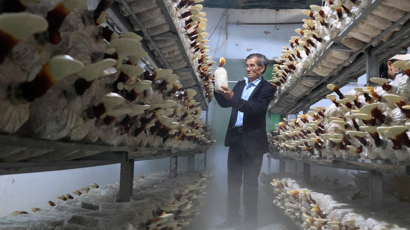 Lâm Đồng bứt phá kinh tế từ công nghệ cao