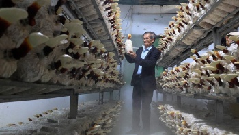 Lâm Đồng bứt phá kinh tế từ công nghệ cao