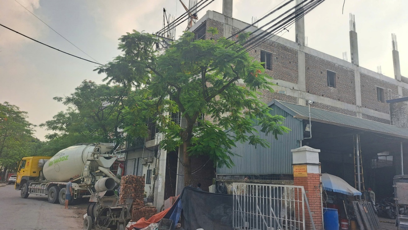 Cần một cuộc “tổng rà soát” toàn diện