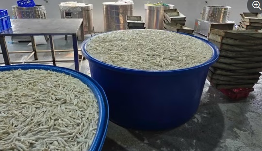 Thu giữ 13 tấn chân gà ngâm hóa chất