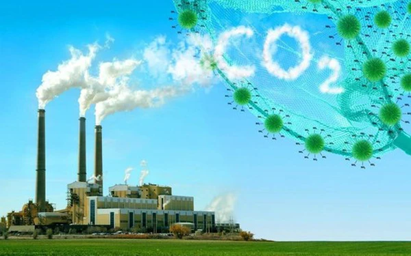 Điện bẩn - lời cảnh báo cho môi trường