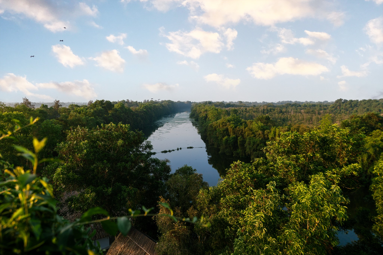 Dải lụa xanh miên man giữa lòng phương Nam