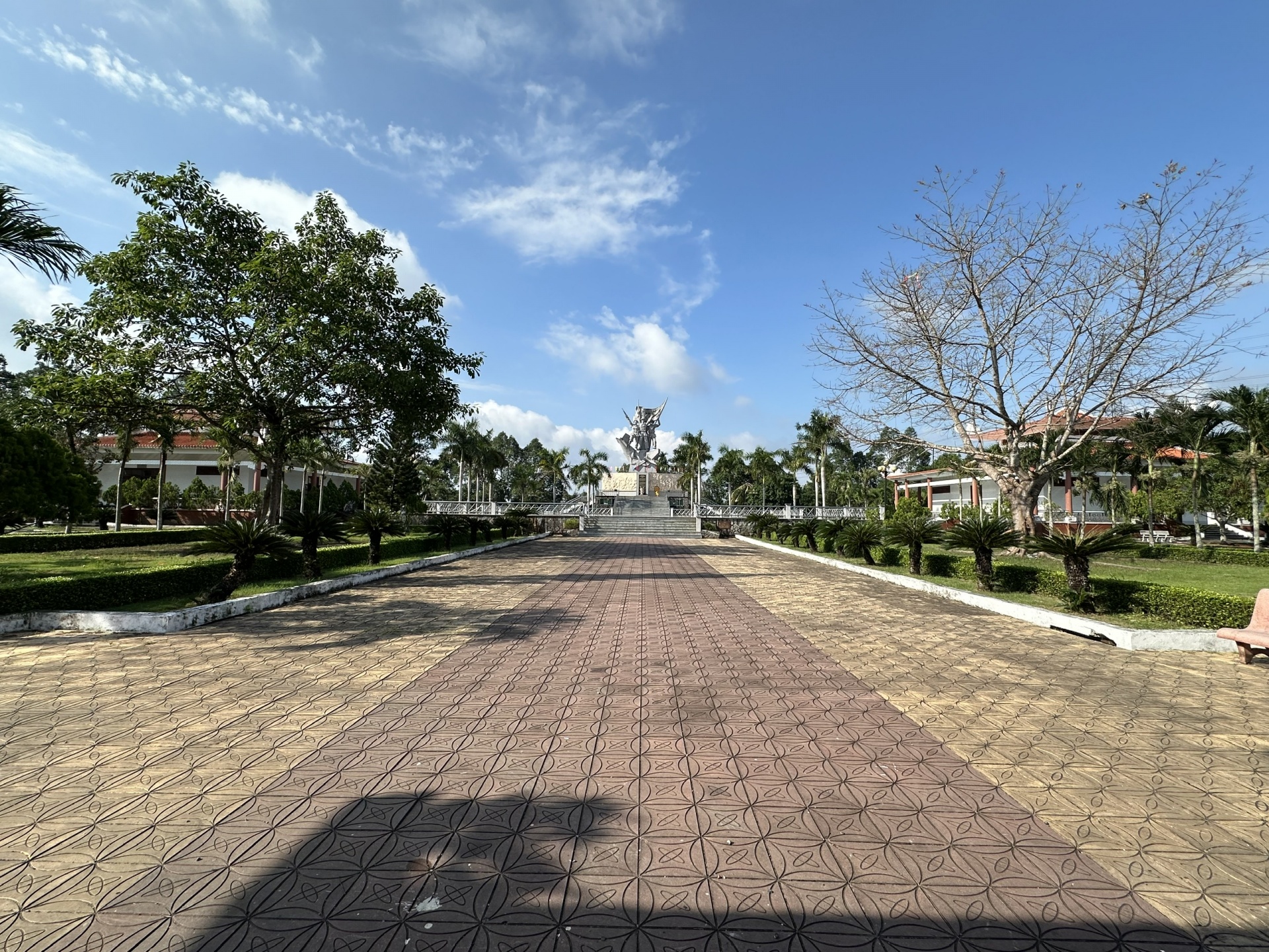 Cần giám sát, quản lý chặt chẽ việc chăm sóc cây xanh ở Cần Thơ