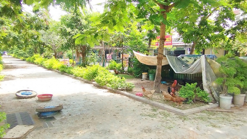 Phú Thọ: Công viên, Quảng trường hàng chục tỷ đồng bị chiếm dụng, gây ô nhiễm môi trường nghiêm trọng Phú Thọ: Công viên, Quảng trường hàng chục tỷ đồng bị chiếm dụng, gây ô nhiễm môi trường nghiêm trọng