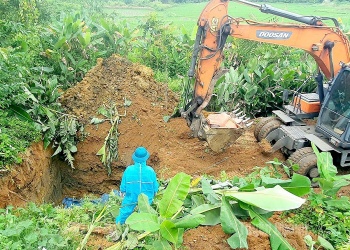 bac quang tuyen quang khan truong khong che o dich ta lon chau phi tieu huy gan 3 tan lon