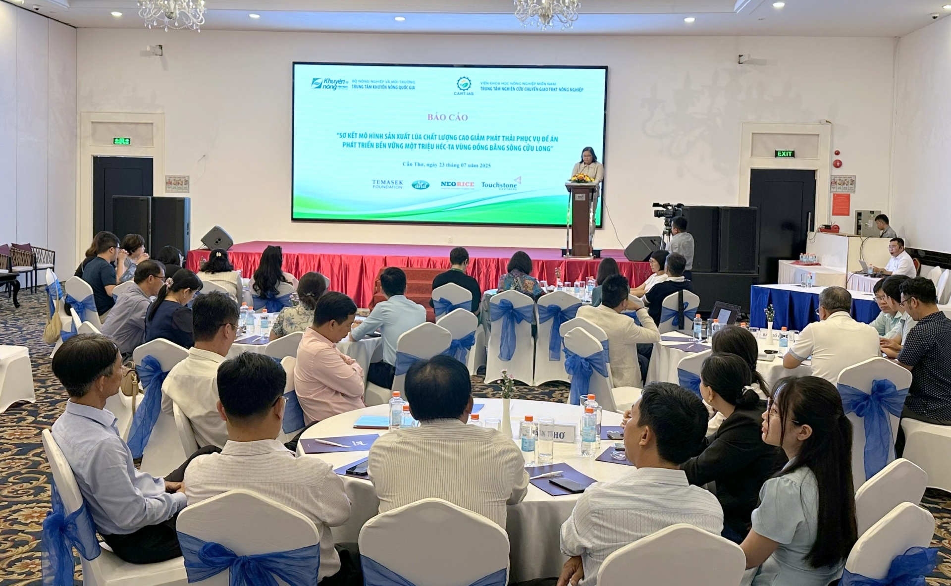 Sản xuất lúa theo đề án 1 triệu hecta - Trách nhiệm với môi trường và xã hội