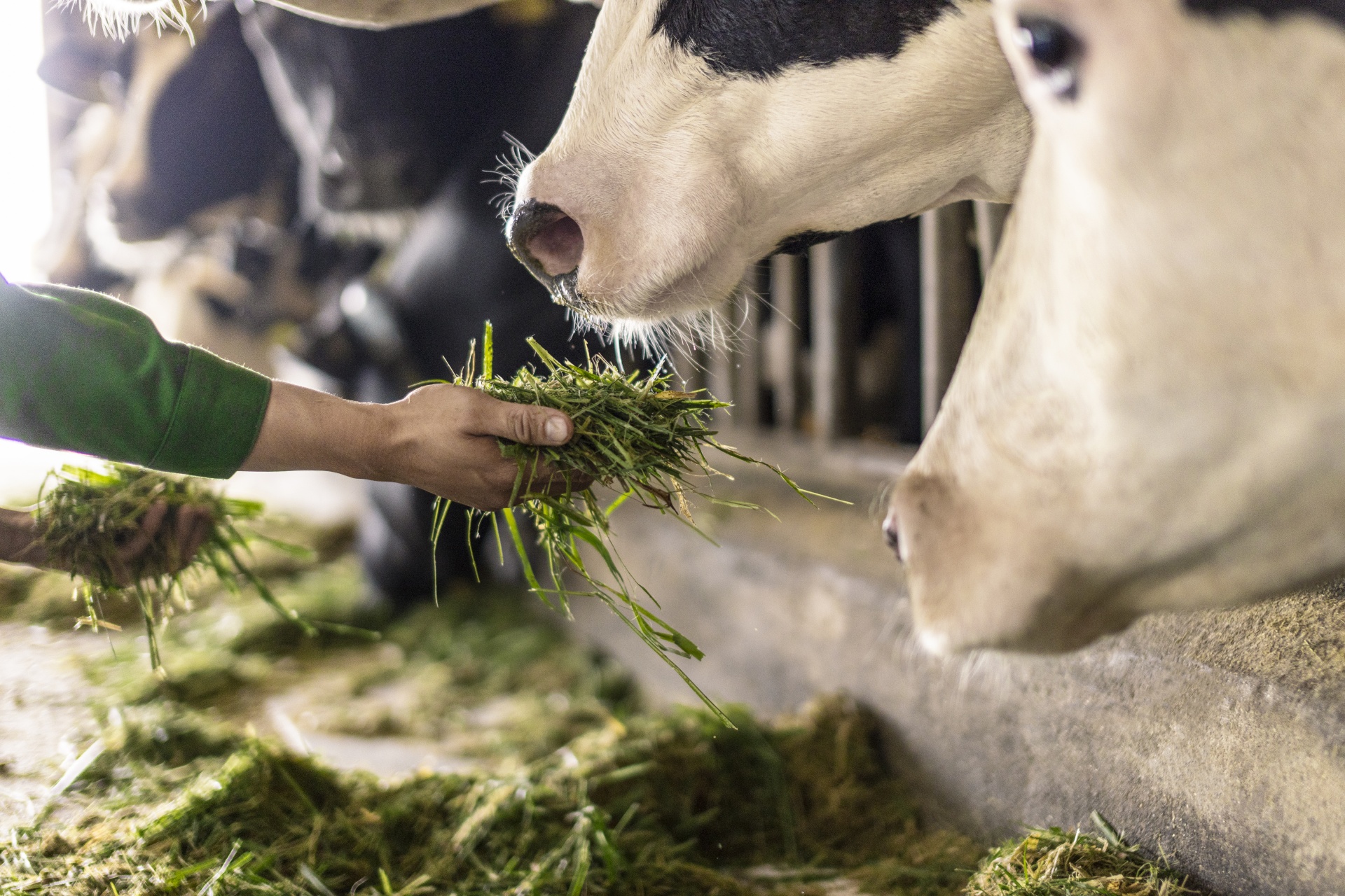 Ảnh: Vi Nam Ảnh: Vi Nam