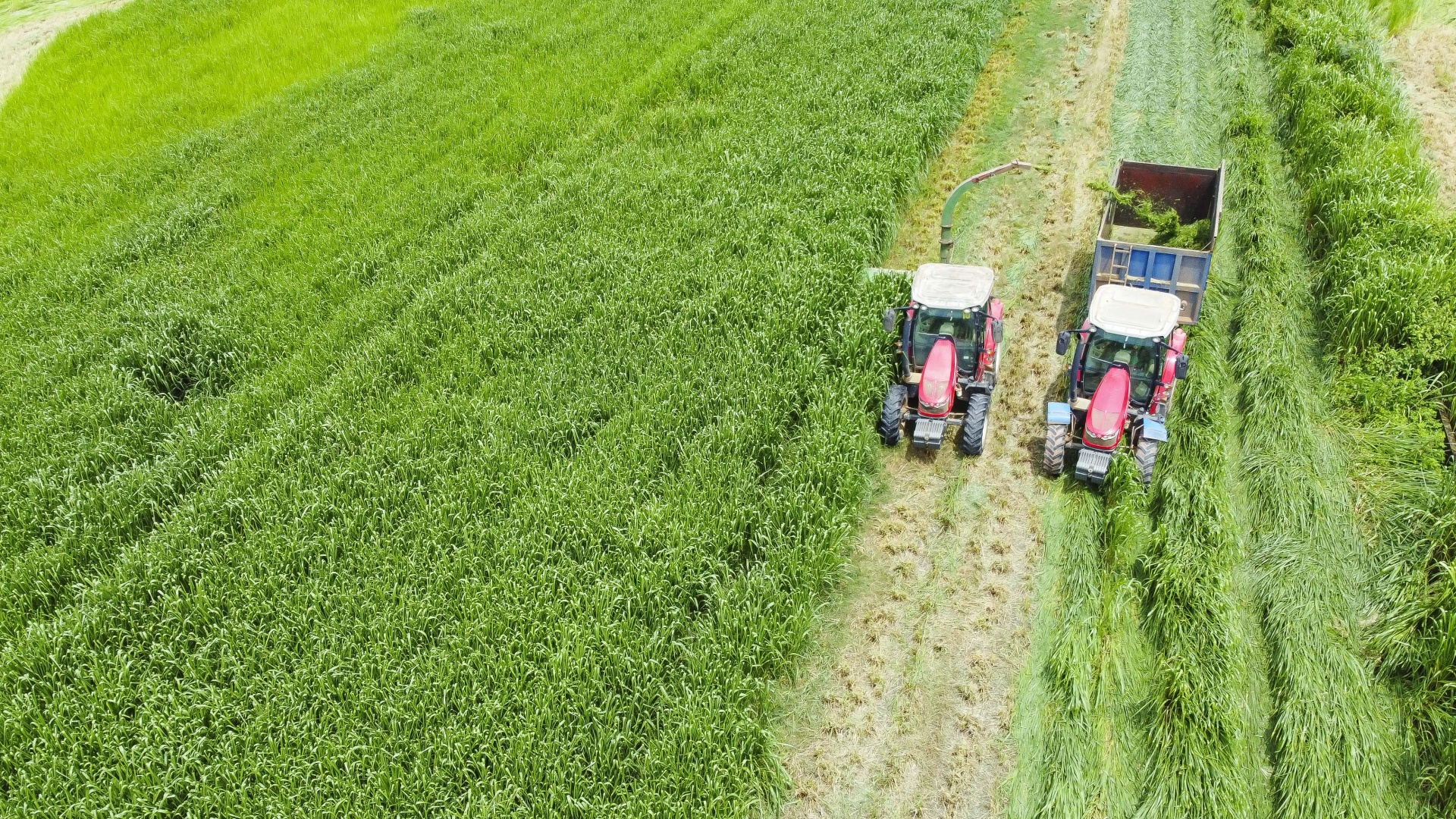 Ảnh: Vi Nam Ảnh: Vi Nam