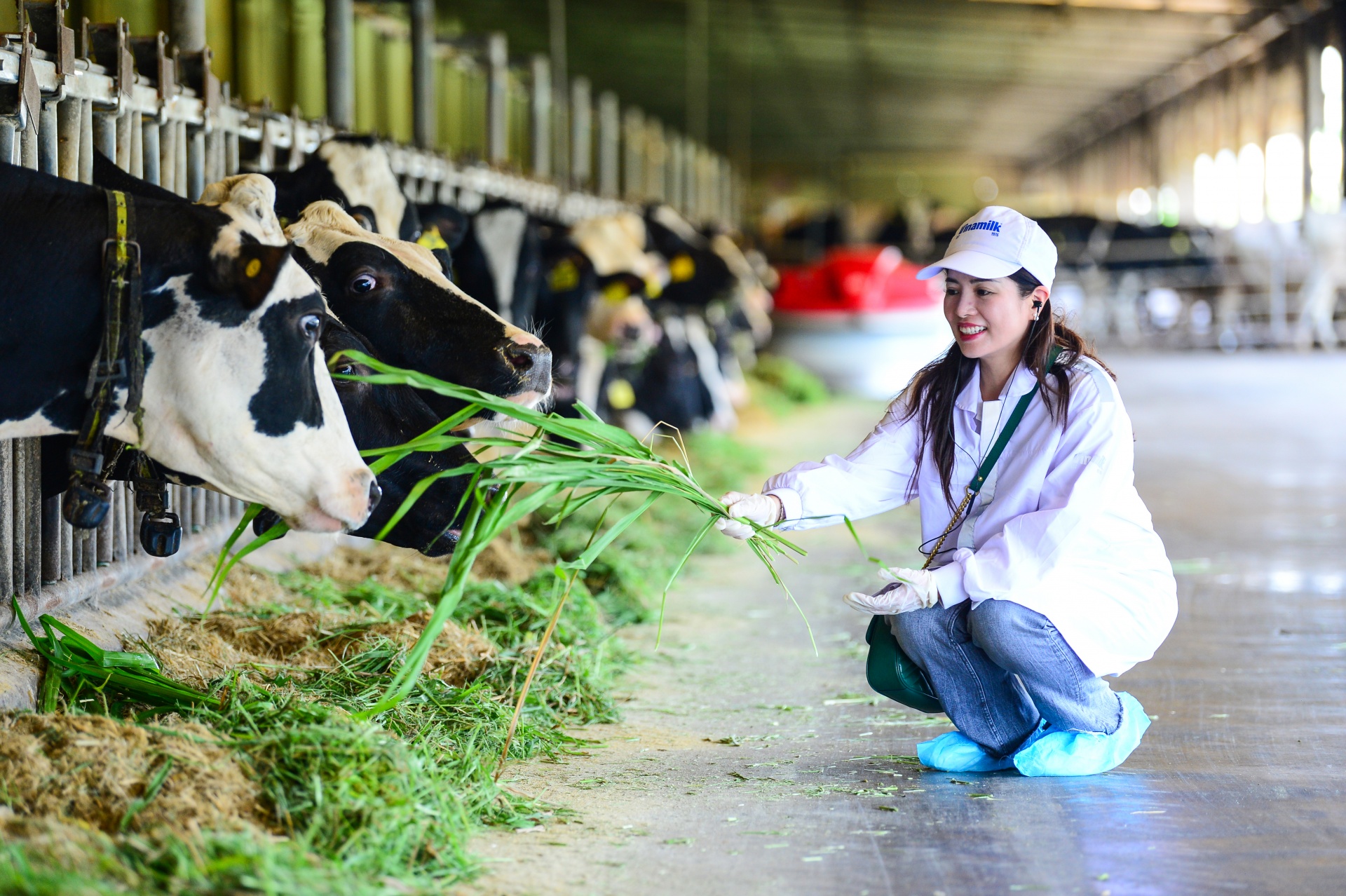 Ảnh: Quang Định Ảnh: Quang Định