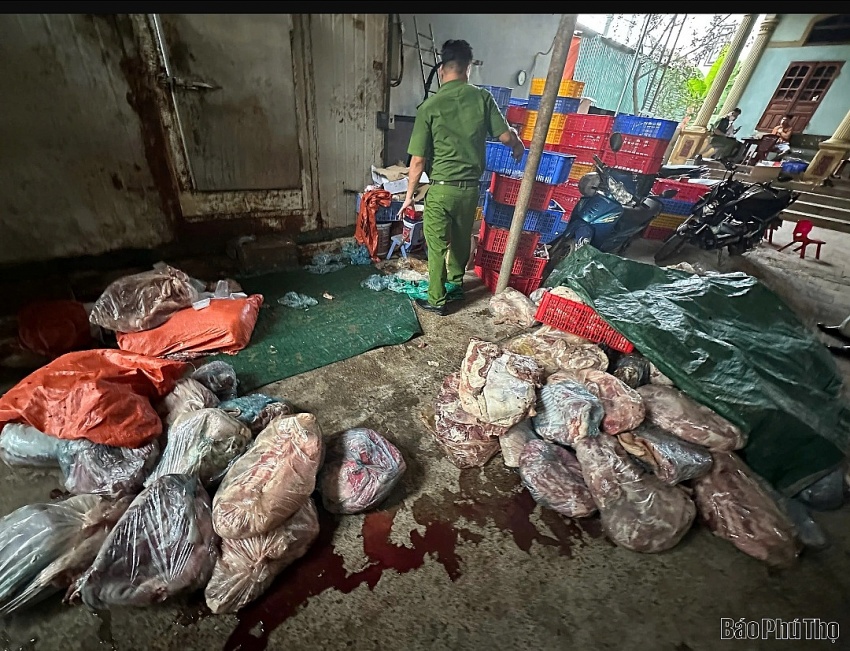 Gần 3 tấn thịt lợn 