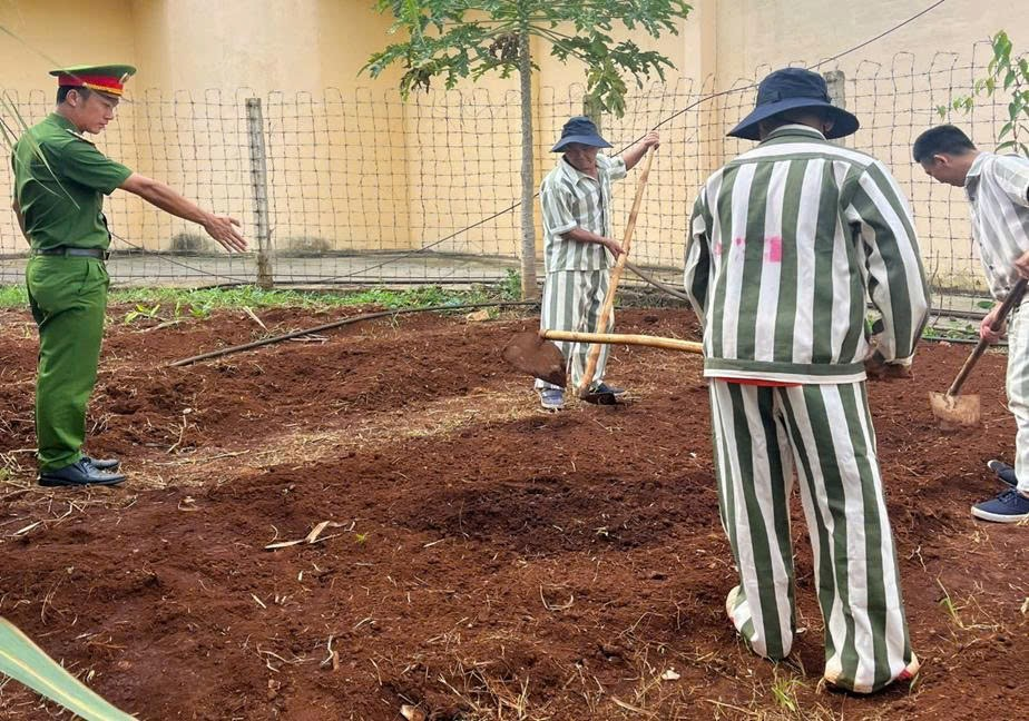    Phạm nhân Nguyễn Văn Chỉnh, sinh năm 1968, trú tại phường Tân Lập, tỉnh Đắk Lắk tích cực lao động cải tạo, đủ điều kiện đặc xá nhân dịp 02/09 năm nay