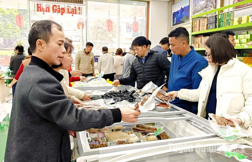 Tuyên Quang chủ động phòng chống dịch tả lợn Châu Phi, đảm bảo an toàn thực phẩm trong Tuyên Quang chủ động phòng chống dịch tả lợn Châu Phi, đảm bảo an toàn thực phẩm trong