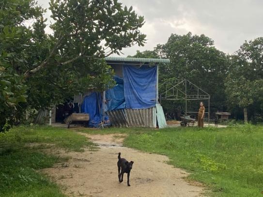 Gần 30 năm khai hoang đất rừng người dân có nguy cơ mất đất Gần 30 năm khai hoang đất rừng người dân có nguy cơ mất đất