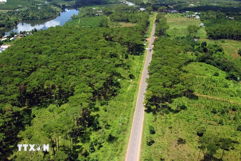 Bổ sung quy định về tạm sử dụng rừng để thi công các dự án cấp thiết