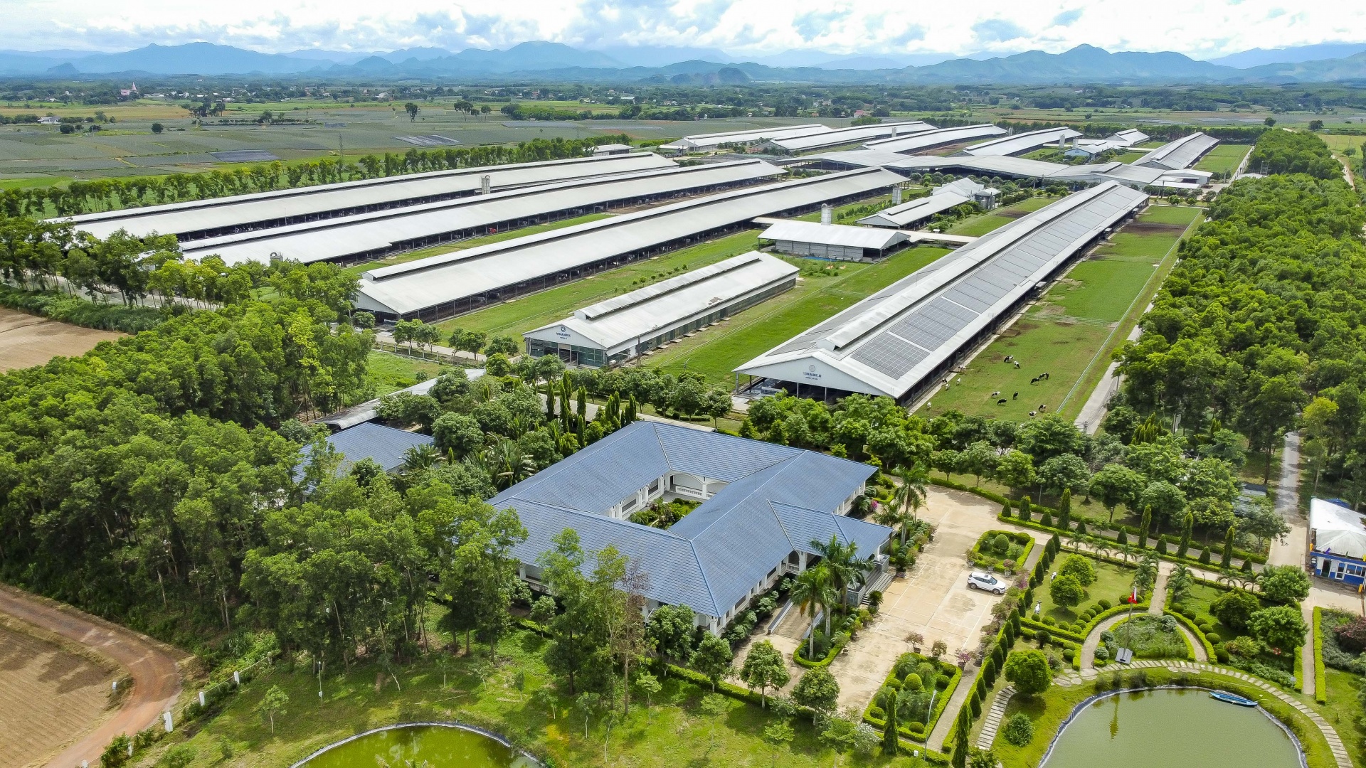 Hệ thống 15 trang trại đạt chuẩn Organic châu Âu và Global S.L.P là nền tảng giúp Vinamilk chủ động nguồn nguyên liệu chất lượng cao (Ảnh: Minh Anh). Hệ thống 15 trang trại đạt chuẩn Organic châu Âu và Global S.L.P là nền tảng giúp Vinamilk chủ động nguồn nguyên liệu chất lượng cao (Ảnh: Minh Anh).