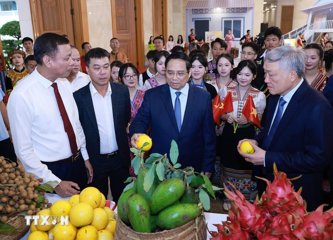   Thủ tướng Phạm Minh Chính tham quan trưng sản phẩm OCOP tại Hội nghị tổng kết Chương trình và Phong trào thi đua “Cả nước chung tay xóa nhà tạm, nhà dột nát”. (Ảnh: TTXVN)