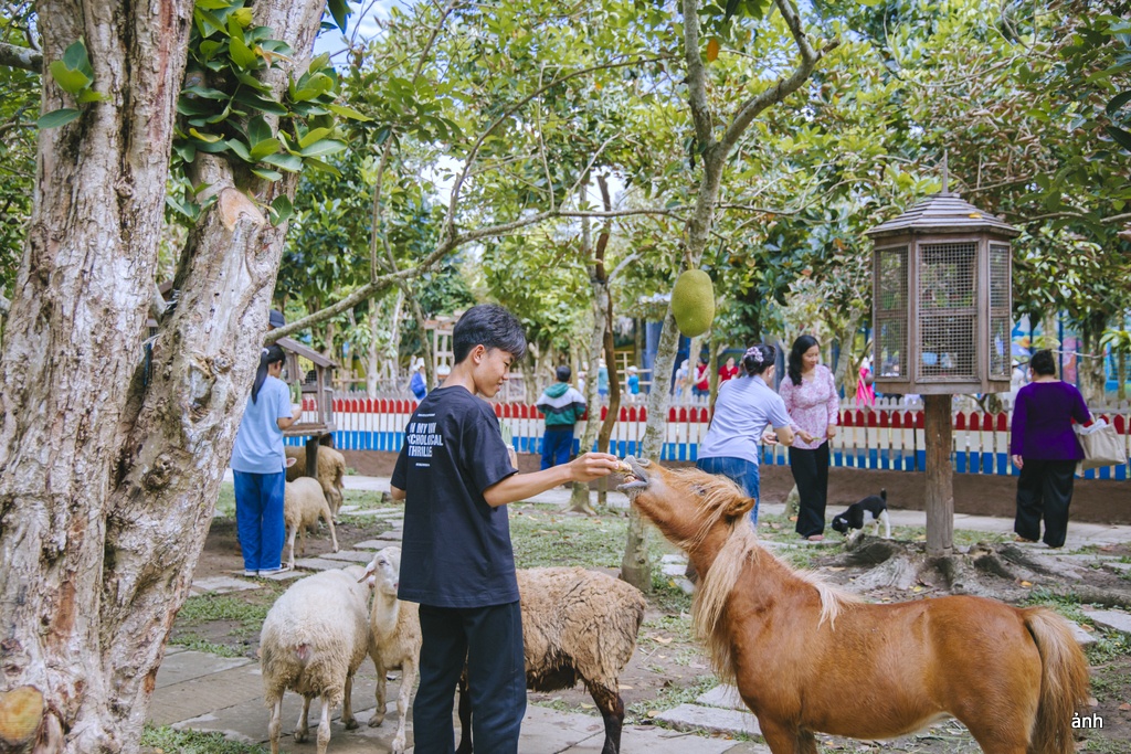 Tây Đô nhiều sản phẩm “du lịch bay” trên sông nước