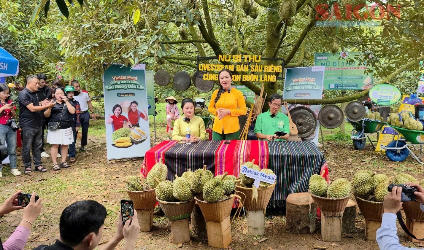 Bà Ngô Thị Minh Trinh – Bí thư Đảng ủy xã Ea Knuếc (áo vàng) đồng hành cùng nông dân trong buổi livestream bán sầu riêng Bà Ngô Thị Minh Trinh – Bí thư Đảng ủy xã Ea Knuếc (áo vàng) đồng hành cùng nông dân trong buổi livestream bán sầu riêng