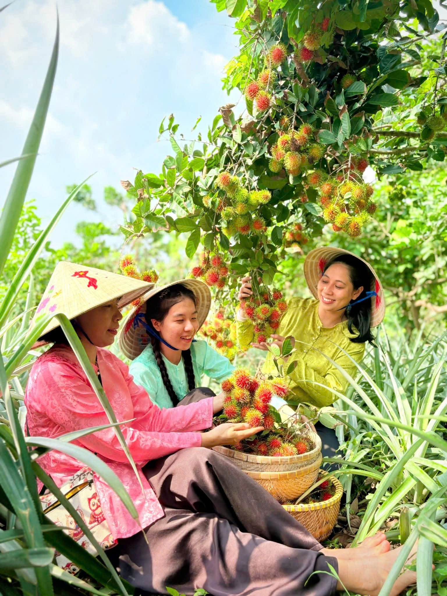 Sông Hậu Farm – trải nghiệm làng quê thanh bình Nam Bộ