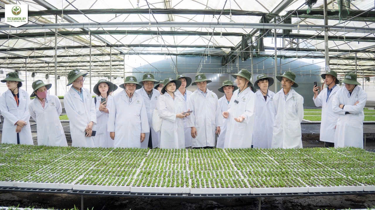 Đoàn công tác nghe chuyên gia trình bày quy trình chăm sóc cây giống tại mô hình nhà kính thông minh của Công ty Cổ phần TCGroup Toàn Cầu Đoàn công tác nghe chuyên gia trình bày quy trình chăm sóc cây giống tại mô hình nhà kính thông minh của Công ty Cổ phần TCGroup Toàn Cầu