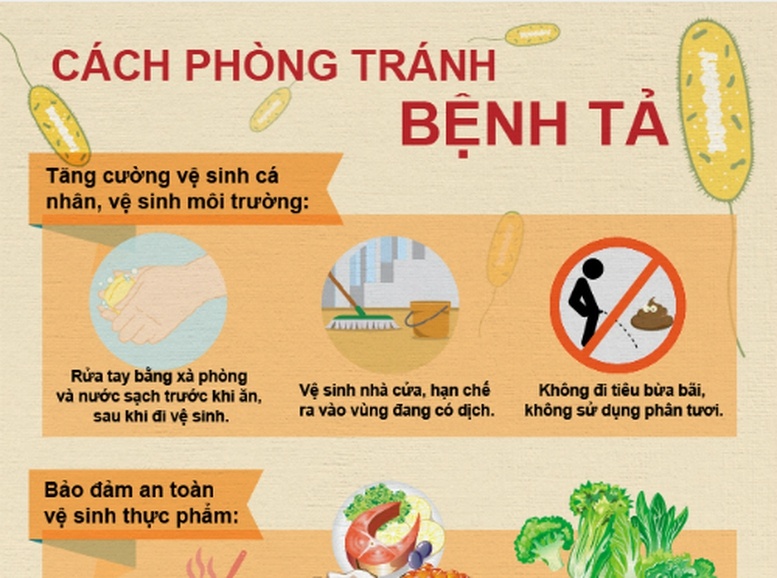 Đề phòng nguy cơ bệnh tả xâm nhập Việt Nam