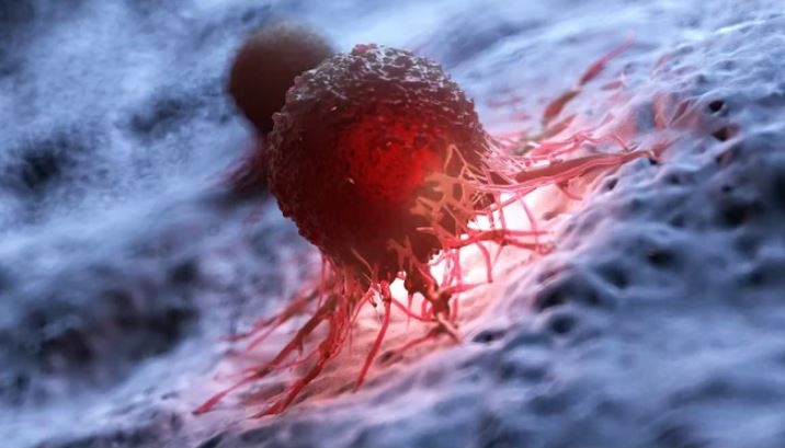 Ảnh minh họa. Ảnh minh họa.