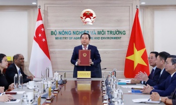 viet nam singapore hop tac chat che trong linh vuc thi truong carbon quoc te