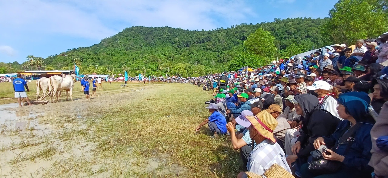 An Giang: Quyết liệt, kịch tính Hội đua bò Bảy Núi lần thứ 30