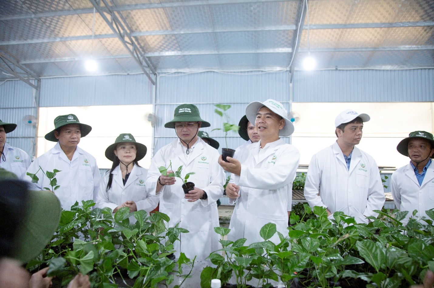 Ông Nguyễn Công Vương – Giám đốc Kinh doanh TCGROUP Toàn Cầu giới thiệu quy trình nhân giống chanh leo vàng TC21