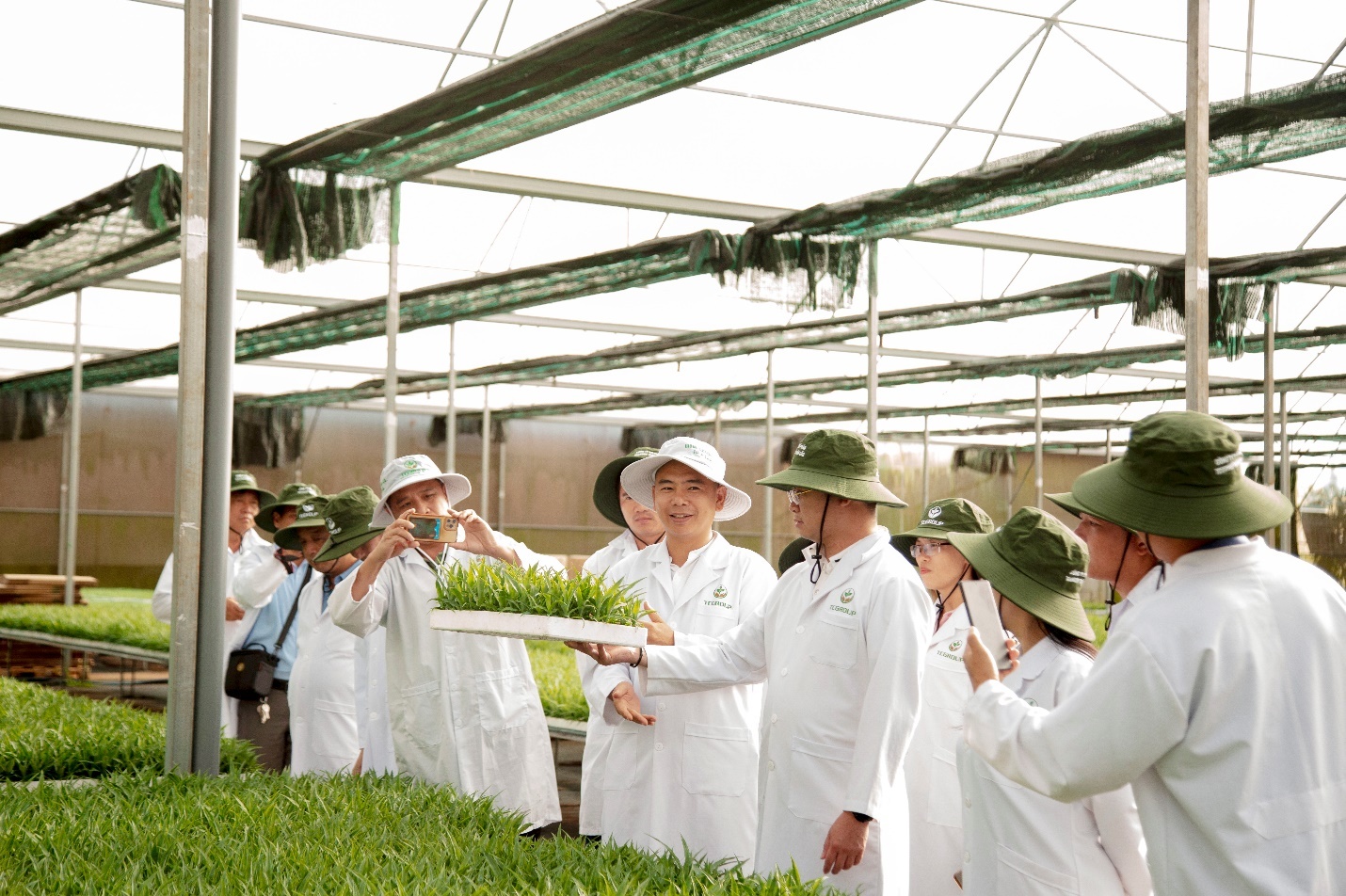 Đoàn công tác Trung tâm Khuyến nông Hà Tĩnh tham quan khu vực ươm giống dứa MD2