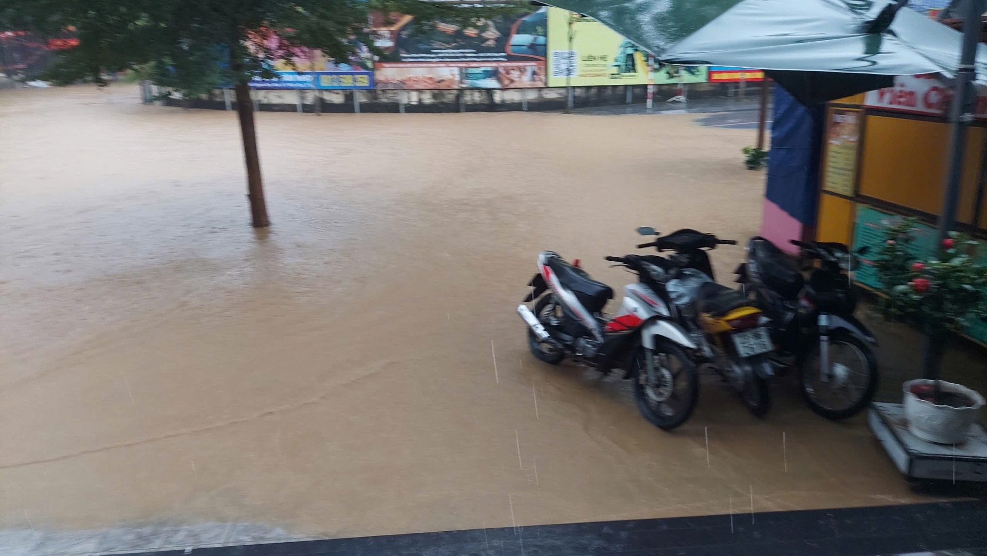 undefined Tuyên Quang: 41 xã, phường nằm trong vùng trọng điểm xảy ra lũ lụt và sạt lở