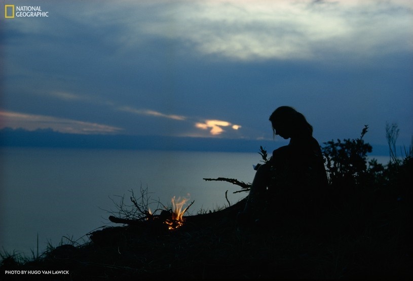 Jane Goodall chuẩn bị cho một đêm thức trắng nghiên cứu tinh tinh. Jane Goodall chuẩn bị cho một đêm thức trắng nghiên cứu tinh tinh.