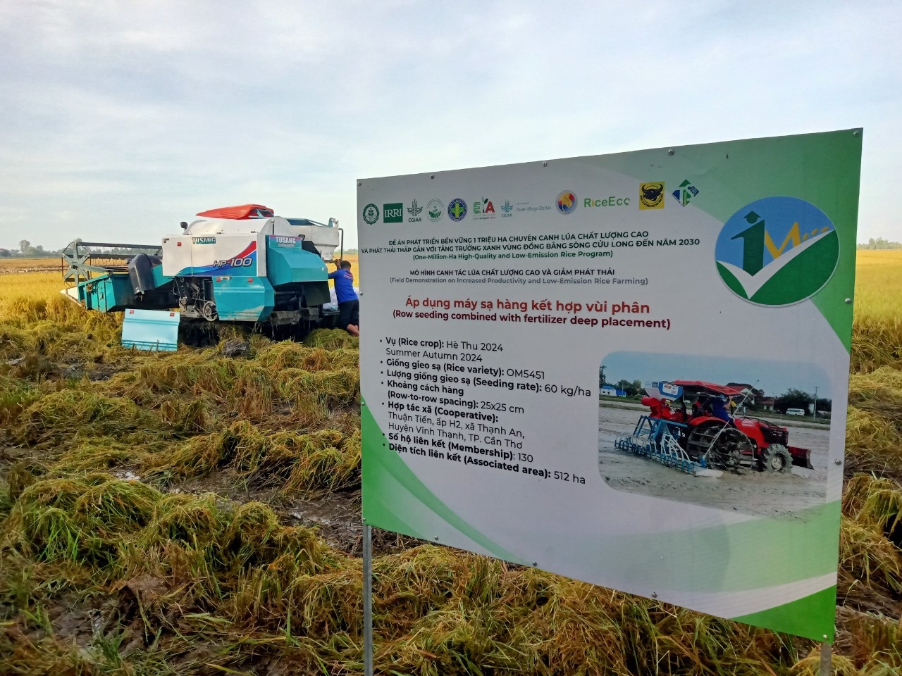 Đề án 1 triệu hecta và mục tiêu sản xuất xanh ở ĐBSCL Đề án 1 triệu hecta và mục tiêu sản xuất xanh ở ĐBSCL