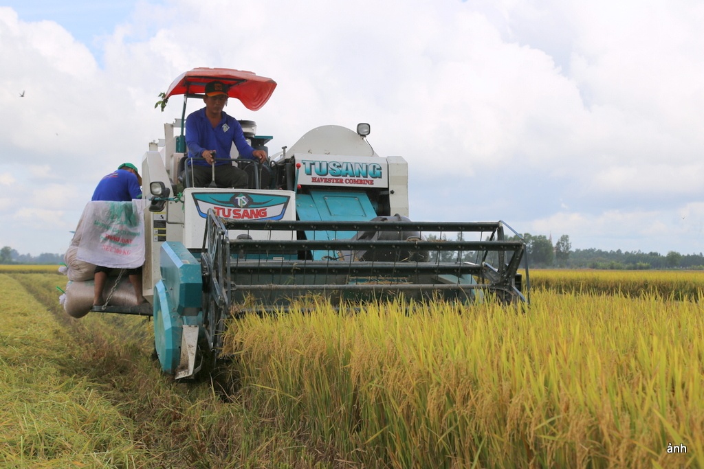 Cơ giới trong nông nghiệp từng bước đưa ĐBSCL thành trung tâm sản xuất nông sản của Việt Nam