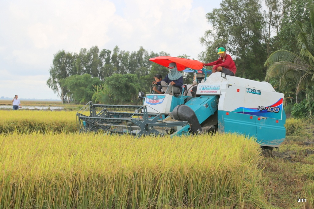 Cơ giới trong nông nghiệp từng bước đưa ĐBSCL thành trung tâm sản xuất nông sản của Việt Nam