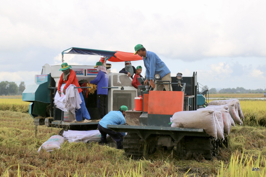 Cơ giới trong nông nghiệp từng bước đưa ĐBSCL thành trung tâm sản xuất nông sản của Việt Nam