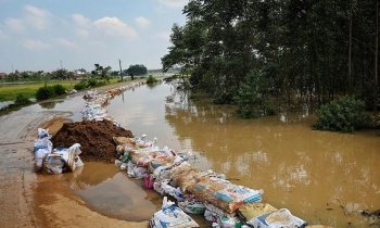 cam phuc tinh than quen minh chong lu bi thu chi bo doan van manh hy sinh khi dang dap de