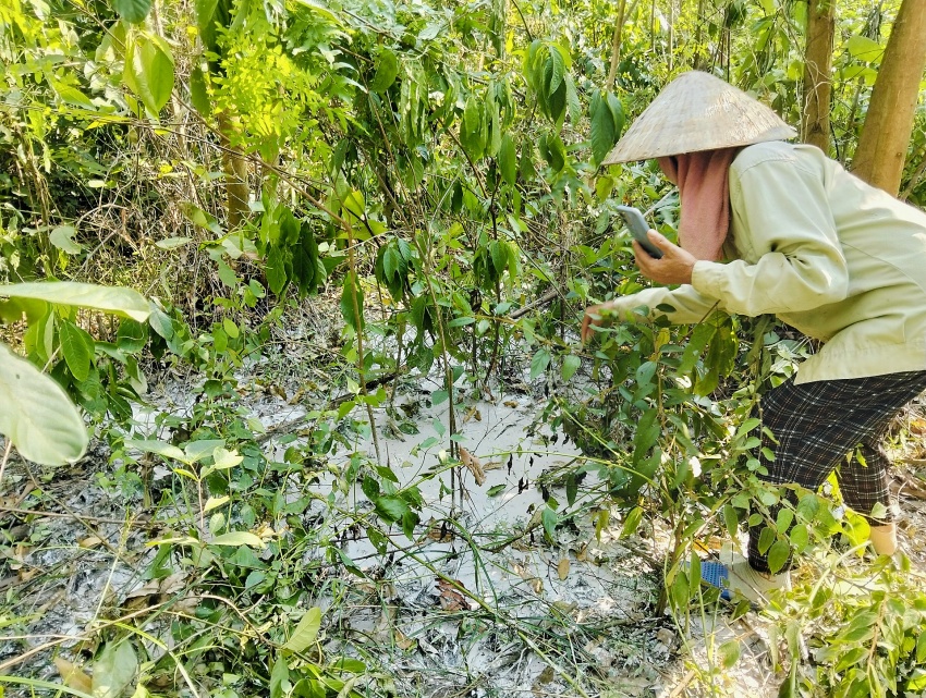 Phú Thọ: Xử phạt 160 triệu đồng xưởng sản xuất giấy xây dựng trái phép, gây ô nhiễm môi trường