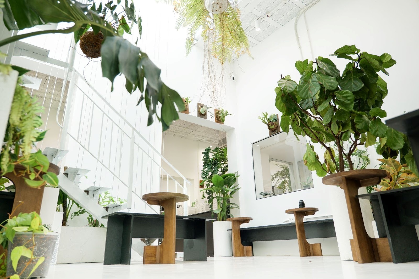 Hành trình lên quán qua một chiếc cầu thang tạo ra sự tương phản giữa lối vào hoài niệm và không gian hiện đại, ngập ánh sáng bên trên. Nguồn ảnh: XLIII Coffee Hành trình lên quán qua một chiếc cầu thang tạo ra sự tương phản giữa lối vào hoài niệm và không gian hiện đại, ngập ánh sáng bên trên. Nguồn ảnh: XLIII Coffee