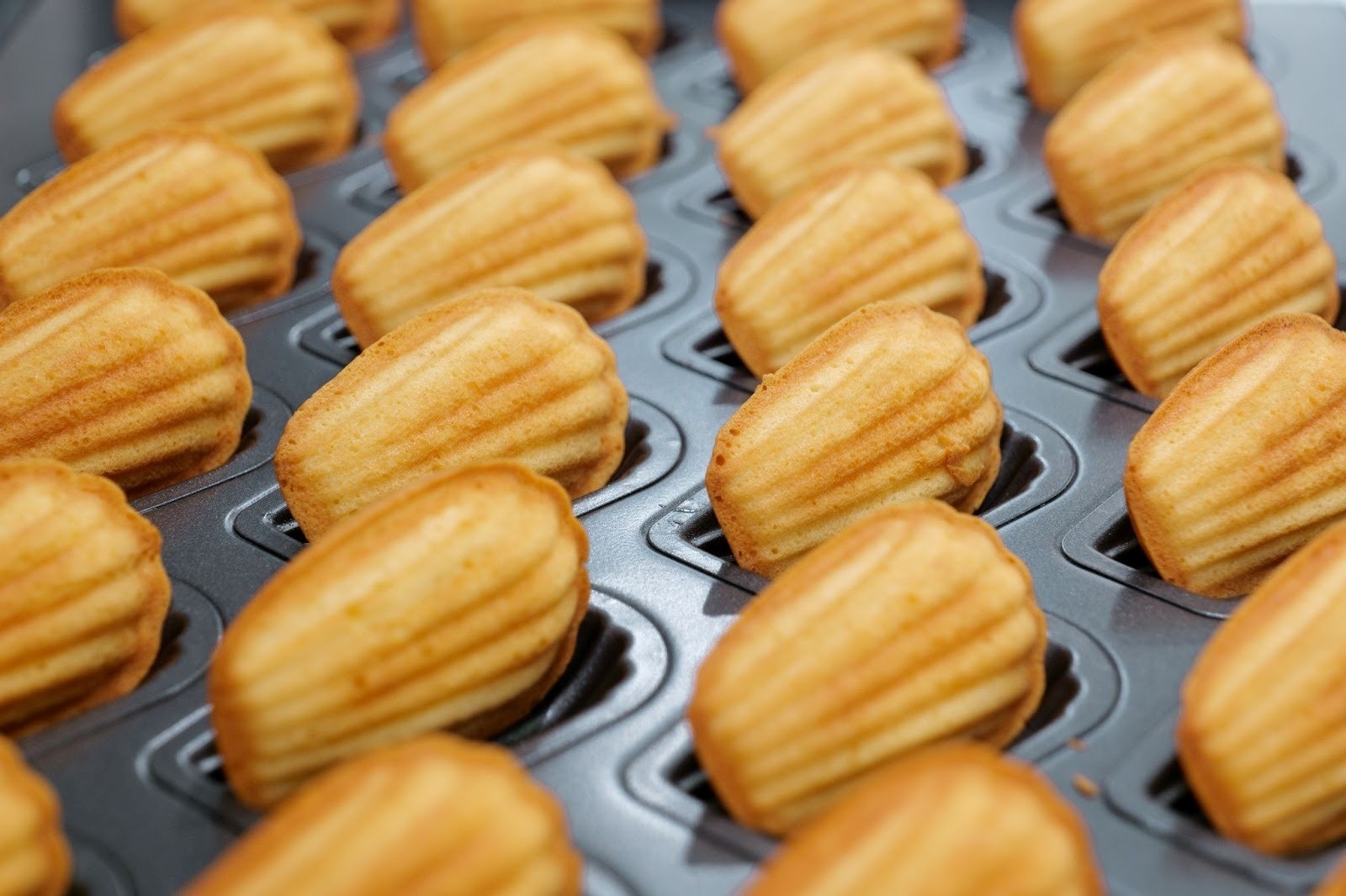 Ngoài cà phê, chi nhánh này còn có một xưởng bánh ngọt thủ công , chuyên về các loại bánh ngọt (pâtisserie) cổ điển của Pháp sử dụng men sourdough tự nhiên. Nguồn ảnh: XLIII Coffee Ngoài cà phê, chi nhánh này còn có một xưởng bánh ngọt thủ công , chuyên về các loại bánh ngọt (pâtisserie) cổ điển của Pháp sử dụng men sourdough tự nhiên. Nguồn ảnh: XLIII Coffee