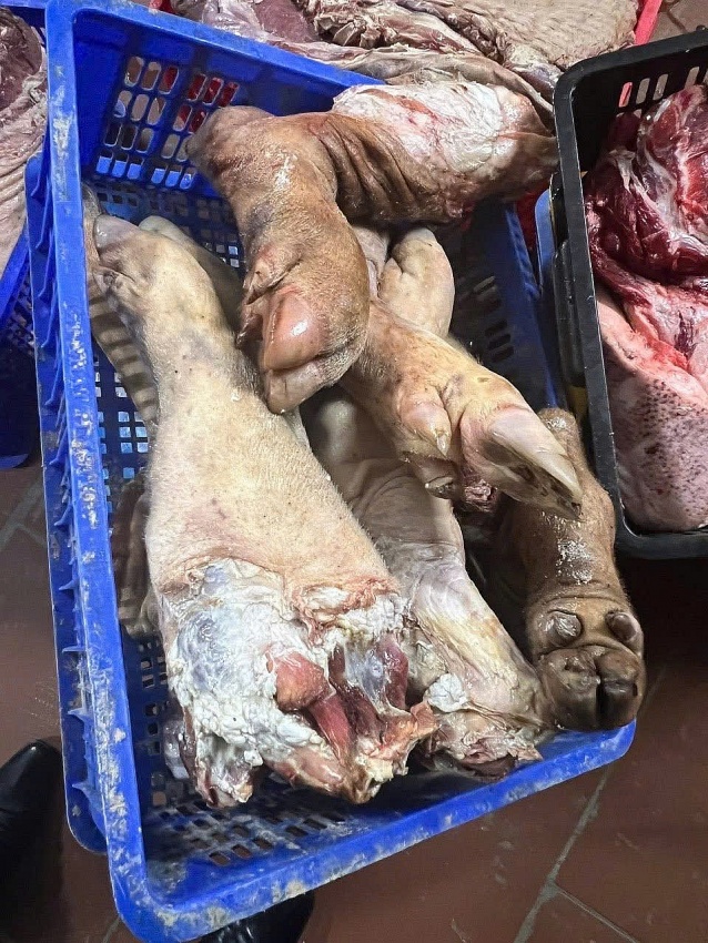 Phú Thọ: Kịp thời phát hiện, ngăn chặn gần 38 tấn thịt lợn nhiễm bệnh tuồn ra thị trường Phú Thọ: Kịp thời phát hiện, ngăn chặn gần 38 tấn thịt lợn nhiễm bệnh tuồn ra thị trường