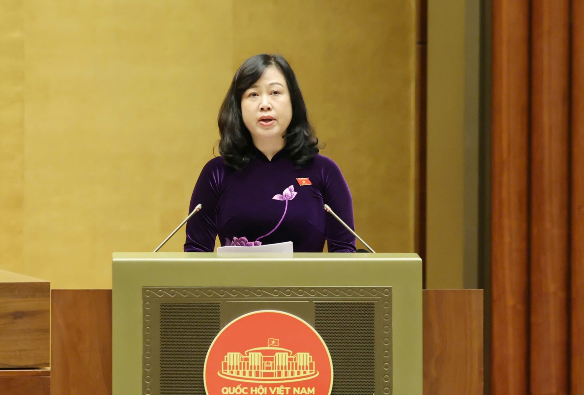 Bộ trưởng Bộ Y tế Đào Hồng Lan trình bày Tờ trình dự án Luật Phòng bệnh - Ảnh: VGP