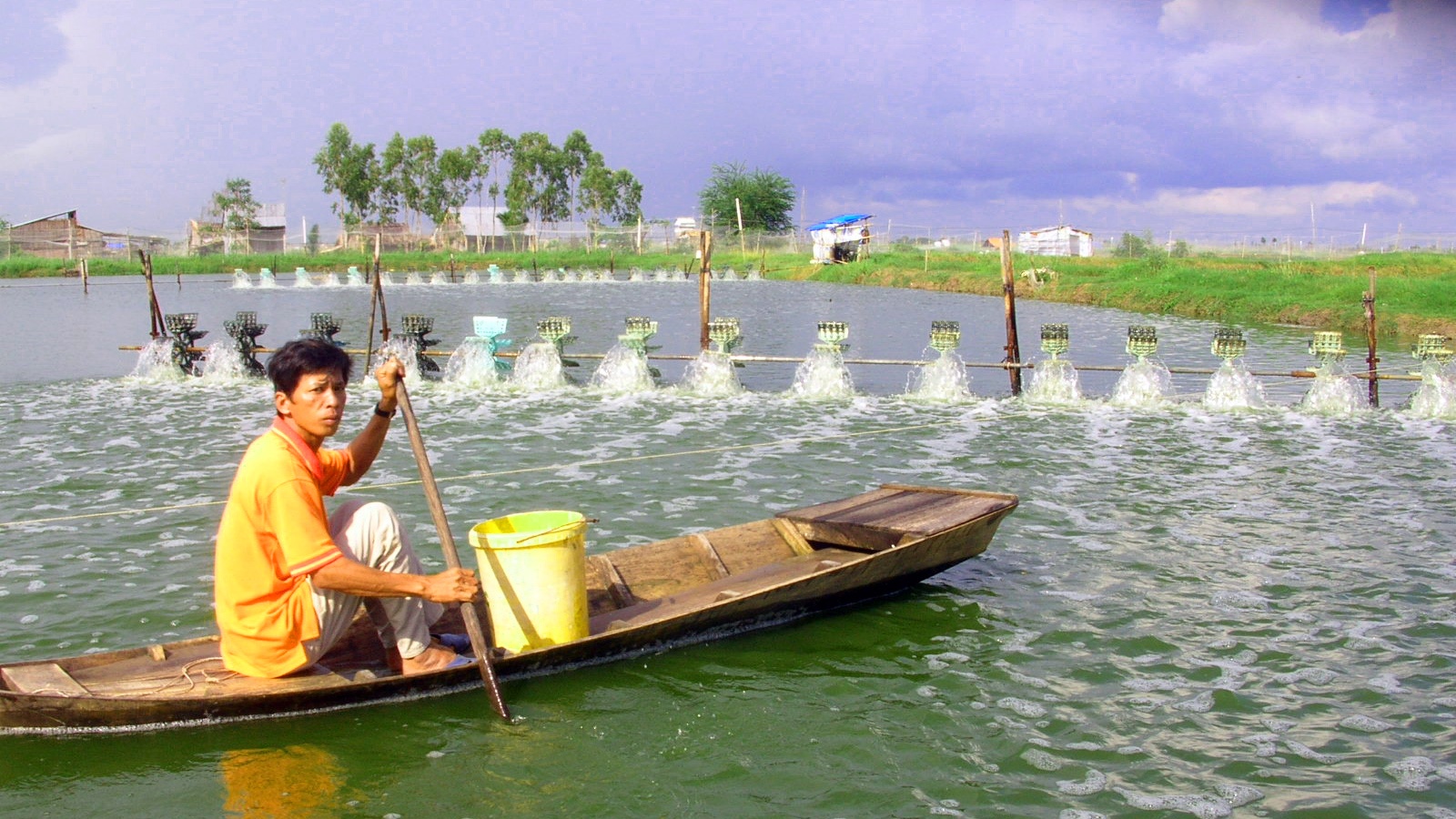 Đổi mới sáng tạo là “chìa khóa” mở rộng giá trị ngành tôm Việt Nam