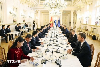 tuyen bo chung ve viec thiet lap quan he doi tac chien luoc viet nam phan lan